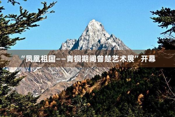 “凤凰祖国——青铜期间曾楚艺术展”开幕