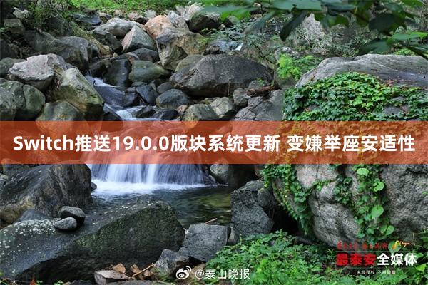 Switch推送19.0.0版块系统更新 变嫌举座安适性