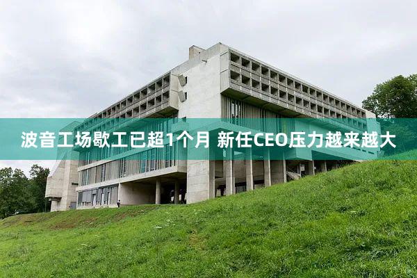 波音工场歇工已超1个月 新任CEO压力越来越大