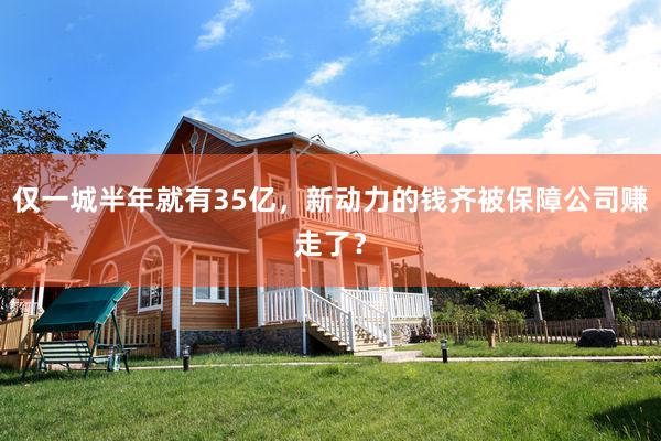 仅一城半年就有35亿，新动力的钱齐被保障公司赚走了？